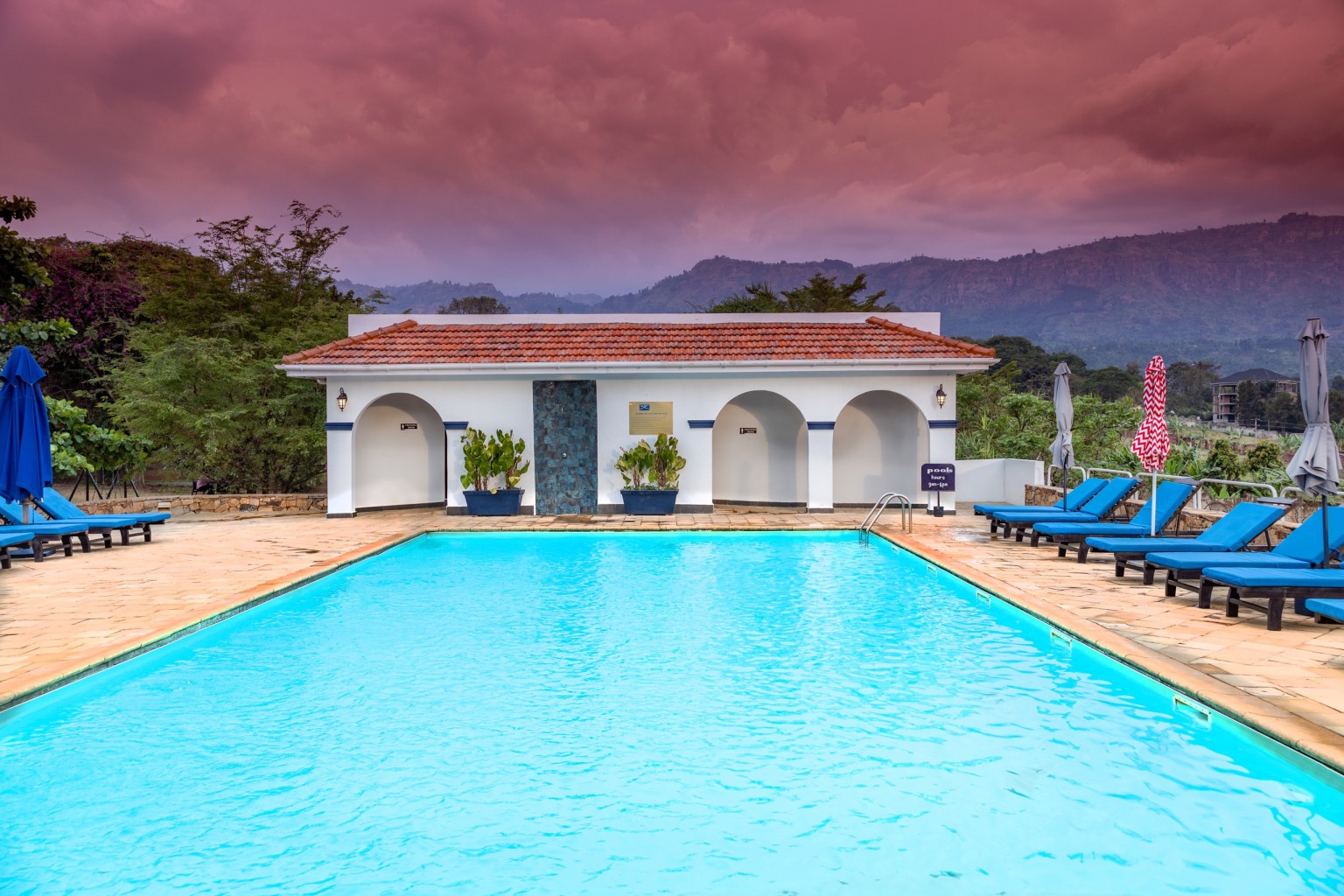 The outdoor pool and blue loungers with the Mount Elgon foothills rising beyond.