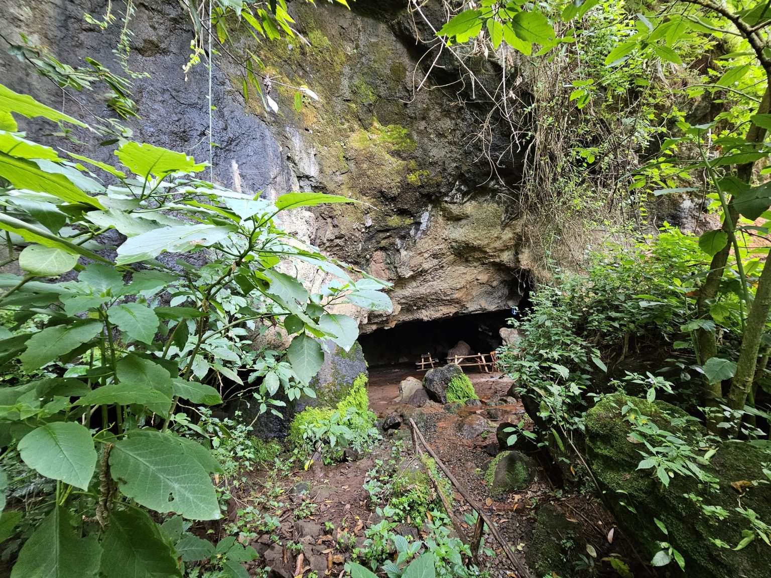 Wooden benches under the rock overhang at Mise Cave, a cultural site near Sipi.