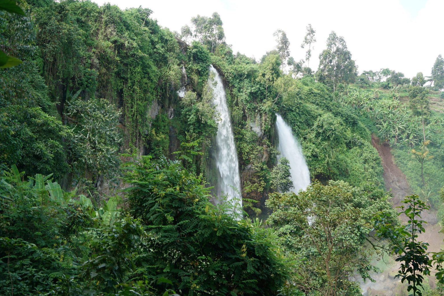 Two waterfalls among dense green vegetation on the Sipi escarpment.